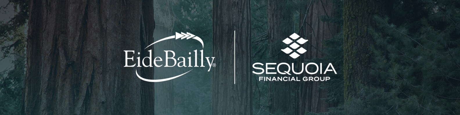Eide Bailly Page Header Eide Bailly Page Header