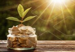 Coins in a glass jar with a small green plant growing from them, sunlight in the background.