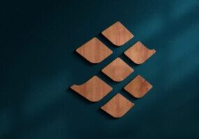 S-Seed-Wood-Cutout_Reduced
