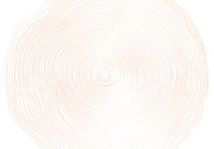 Tree-Rings-Light-Copper