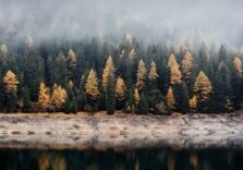 samuel-ferrara-iecJiKe_RNg-unsplash